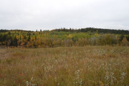 2026 HR4HR Calgary-7.JPG