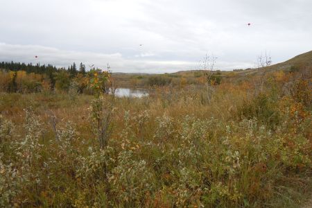2026 HR4HR Calgary-9.JPG
